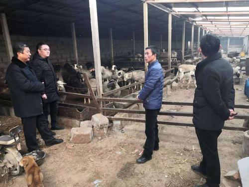 农业综合行政执法大队对畜禽屠宰行业专项检查